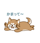日本の秋田犬①（個別スタンプ：21）