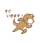 日本の秋田犬①（個別スタンプ：27）