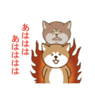 日本の秋田犬①（個別スタンプ：31）
