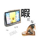 中尾家3兄弟（個別スタンプ：12）