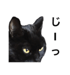 黒猫サリーのオモチャ箱（個別スタンプ：7）