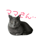 どぶねずみスタンプ（個別スタンプ：3）