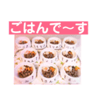 ヨーキーまみれ家①（個別スタンプ：30）