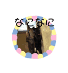 うちの子達のスタンプ（個別スタンプ：21）