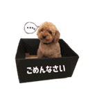 ぺろのちゃちゃまる（個別スタンプ：2）