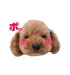 ぺろのちゃちゃまる（個別スタンプ：4）