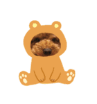 ぺろのちゃちゃまる（個別スタンプ：15）