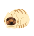 ぺろのちゃちゃまる（個別スタンプ：16）