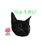 りりちゃん！（個別スタンプ：6）
