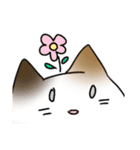 ねこすた！（個別スタンプ：3）