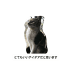 生きているとは素晴らしい（個別スタンプ：3）