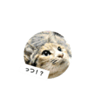 生きているとは素晴らしい（個別スタンプ：5）