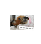 生きているとは素晴らしい（個別スタンプ：9）