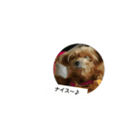 生きているとは素晴らしい（個別スタンプ：13）