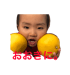 koyo3（個別スタンプ：3）