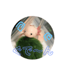 ウーパールーパー（ももちゃん）（個別スタンプ：3）