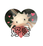ウーパールーパー（ももちゃん）（個別スタンプ：8）