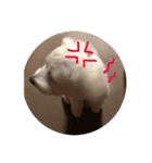 お犬様2（個別スタンプ：4）