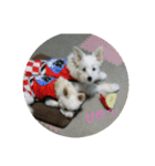 お犬様2（個別スタンプ：9）