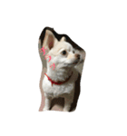 お犬様2（個別スタンプ：15）