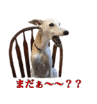 ベスの毎日（個別スタンプ：23）