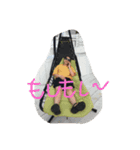 はいさい（個別スタンプ：1）