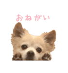 源太郎のスタンプ（個別スタンプ：2）