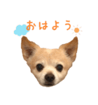 源太郎のスタンプ（個別スタンプ：3）