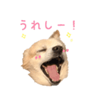 源太郎のスタンプ（個別スタンプ：7）