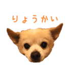 源太郎のスタンプ（個別スタンプ：11）