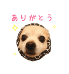 源太郎のスタンプ（個別スタンプ：12）