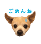 源太郎のスタンプ（個別スタンプ：14）