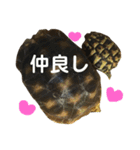 亀たちの日常（個別スタンプ：9）