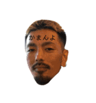 JAVAL（個別スタンプ：11）