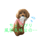 もこもこトイプーめろんちゃん（個別スタンプ：6）