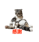 こたろう 入門編（個別スタンプ：12）