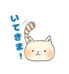 ねこぽ 〜カオトシッポ〜（個別スタンプ：3）