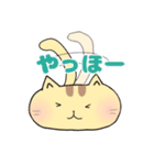 ねこぽ 〜カオトシッポ〜（個別スタンプ：7）