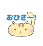 ねこぽ 〜カオトシッポ〜（個別スタンプ：8）