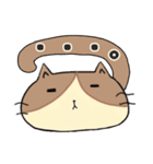 ねこぽ 〜カオトシッポ〜（個別スタンプ：12）