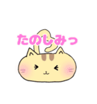 ねこぽ 〜カオトシッポ〜（個別スタンプ：17）
