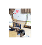パグのグー（個別スタンプ：18）