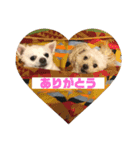 ココ＆リリー2（個別スタンプ：4）