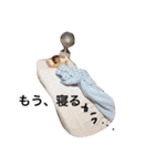 孫スタンプ 2（個別スタンプ：24）