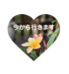 マナスカフェ（個別スタンプ：14）