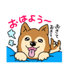 ☆柴犬リクのスタンプ☆（個別スタンプ：1）