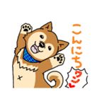 ☆柴犬リクのスタンプ☆（個別スタンプ：2）