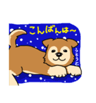 ☆柴犬リクのスタンプ☆（個別スタンプ：3）