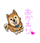 ☆柴犬リクのスタンプ☆（個別スタンプ：4）