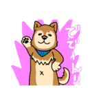 ☆柴犬リクのスタンプ☆（個別スタンプ：8）